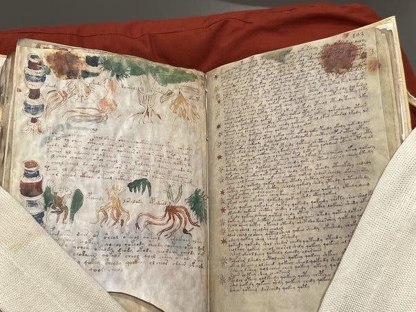 Kimsenin Okuyamadığı Kitap: Voynich El Yazması